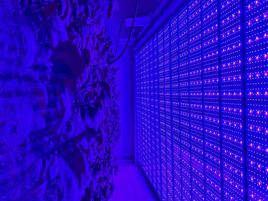 Sun Spectrum Lighting